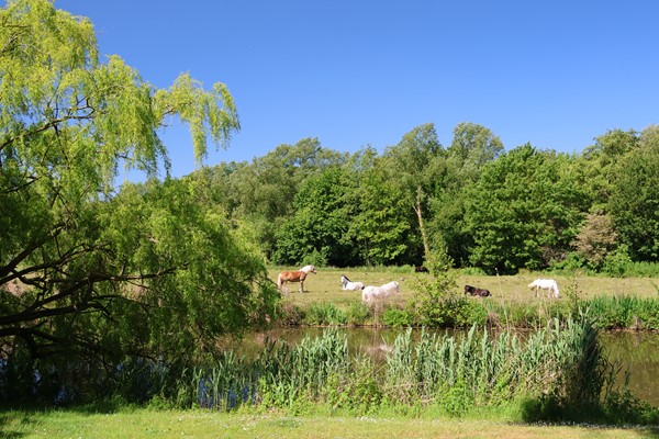 Medium property photo - Rumbeke 7, 1066 SZ Amsterdam